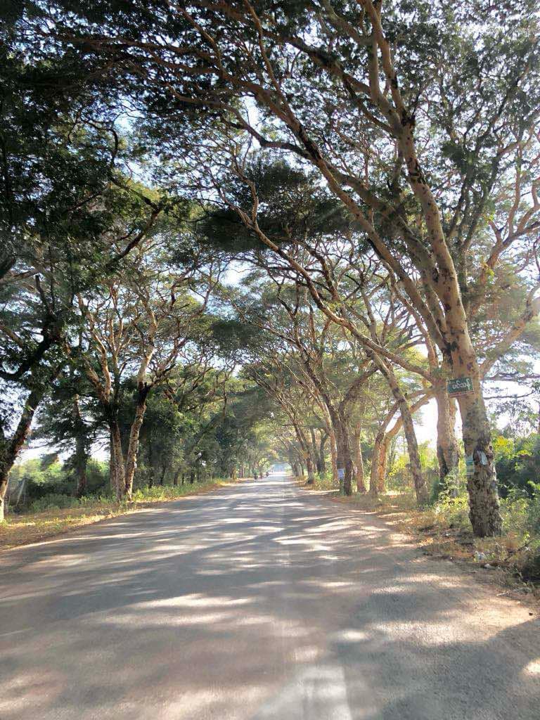 Myingyan (7), An Entry Lane, Photo By Ye Yint Kyaw